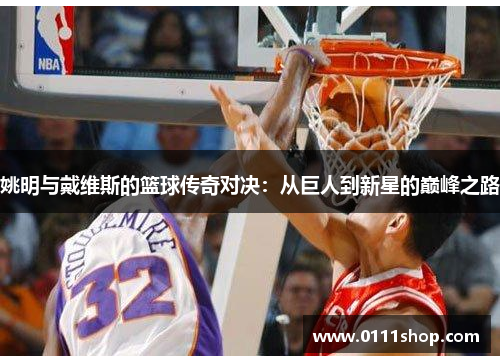 姚明与戴维斯的篮球传奇对决：从巨人到新星的巅峰之路