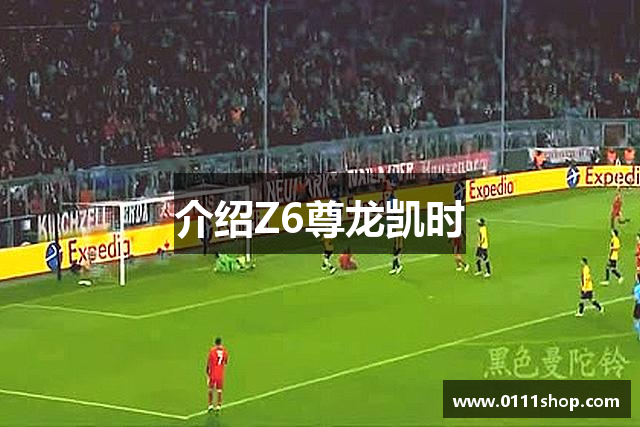 介绍Z6尊龙凯时